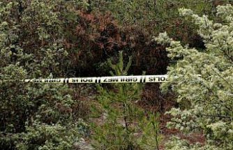 Karabük'te kayıp kişi ormanlık alanda ölü bulundu