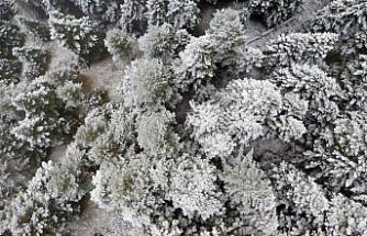 Ilgaz Dağı'nda kar ve sis etkili oldu