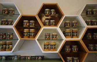 Karabük'te gençlerin ve kadınların istihdamını hedefleyen arıcılık projesi tamamlandı