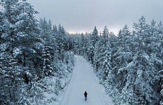 Kastamonu'nun yüksek kesimleri kar yağışının ardından beyaza büründü