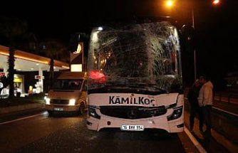 Ordu'da yolcu otobüsü ile midibüsün çarpıştığı kazada 1 kişi yaralandı