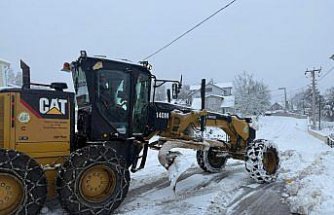 Sakarya, Kocaeli, Düzce, Bolu ve Zonguldak'ta kar yağışı etkili oldu