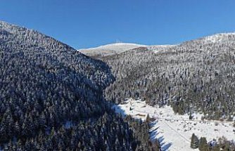 Alaçam'da kar altındaki ormanlar dronla görüntülendi