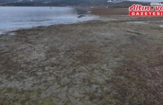 SAPANCA GÖLÜ ALARM VERİYOR - AA ekibi suların çekilmesini gölün farklı bölgelerinde görüntüledi