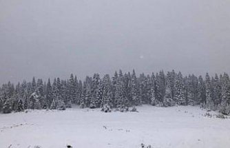 Sinop'un yüksek kesimleri beyaza büründü