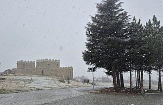 Sungurlu'da kar yağışı etkili oldu