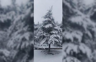 Yeşilyurt'ta kar yağışı etkili oldu