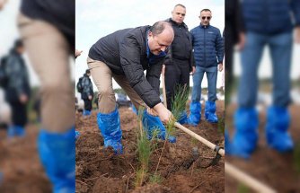 Ziraat Katılım 10. yılı dolayısıyla 30 bin fidan bağışladı