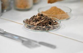 Çocuklarda propolis tüketiminin büyüme ve gelişime etkileri araştırıldı