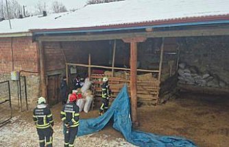 Çorum’da yem kırma makinesine düşen kişi hayatını kaybetti