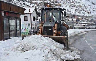 Gümüşhane ve Artvin'de 295 yerleşim yerine ulaşım sağlanamıyor