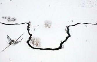 Kastamonu'da kar altındaki mendereslerin kış güzelliği