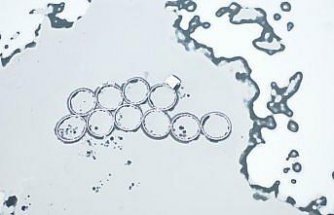 Kastamonu'da yüzeyi buz tutan Kulaksızlar Barajı dron ile görüntülendi