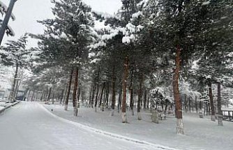 Kavak'ta kar yağışı etkili oldu