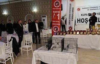 Türkiye'deki güvercin severler Samsun'da bir araya geldi