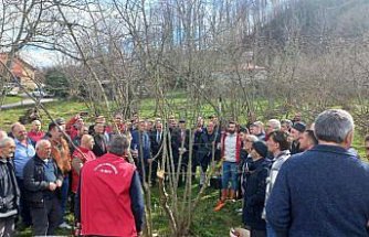 19 Mayıs ilçesinde fındık budama eğitimi verildi