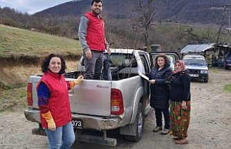 19 Mayıs ilçesinde kestane üretimini artırmak için çalışma yürütülüyor