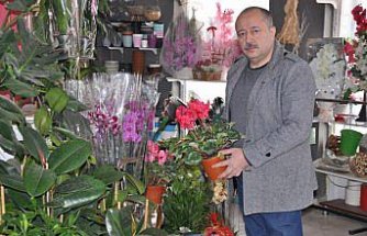 Amasya'da çiçekçiler 14 Şubat Sevgililer Günü'ne hazır