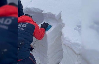 Artvin Valiliği'nden Ardanuç'taki çığ olayına ilişkin açıklama: