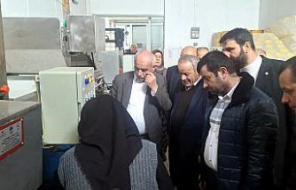 Bafra'da kurulacak turşu fabrikası için Ankara'da teknik inceleme yapıldı