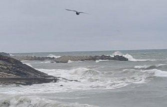 Düzce'de kuvvetli rüzgar nedeniyle dalga boyu 3 metreye ulaştı