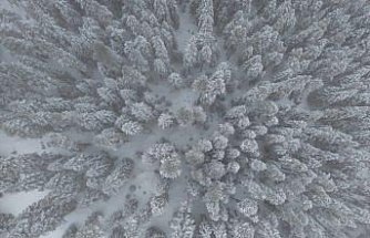 Kastamonu'nun yüksek kesimlerinde kar yağışı etkili oldu