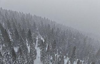 Kastamonu'nun yüksek kesimlerinde yoğun kar yağışı ve sis etkili oluyor