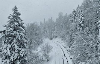 Sinop ve Samsun'da kar etkili oluyor