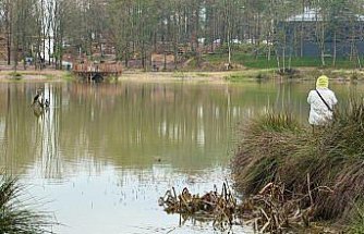 Yapılan yatırımlar Korugöl Tabiat Parkı'nı doğaseverlerin gözdesi haline getirdi