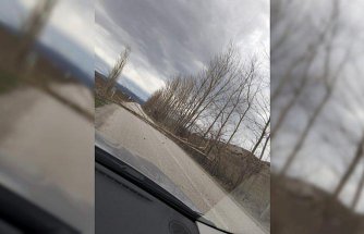 Yeşilyurt'ta şiddetli rüzgar nedeniyle yola devrilen ağaçları vatandaşlar kaldırdı