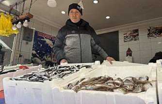 Zonguldak'ta balıkçılar bu sezon av miktarında umduğunu bulamadı