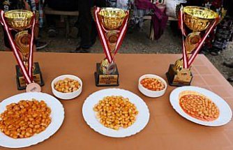 19 Mayıs ilçesinin tarım ürünleri için coğrafi işaret hazırlığı