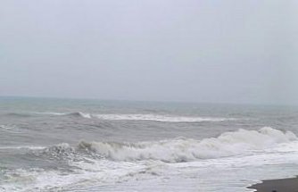 Akçakoca'da kuvvetli rüzgar etkili oldu