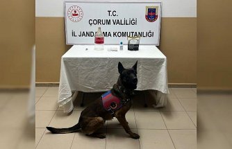 Alaca'da uyuşturucu operasyonunda 1 kişi yakalandı