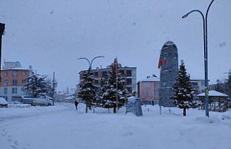 Başçiftlik'te kar yağışı etkisini sürdürüyor