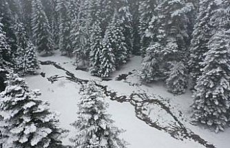 Bolu'nun yüksek kesimlerinde kar yağışı etkisini sürdürüyor
