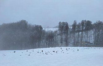 Düzce'nin yüksek kesimlerine kar yağdı