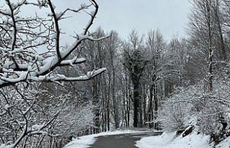 Gölyaka'nın yüksek kesimleri beyaz örtüyle kaplandı