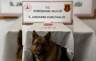Gümüşhane'deki uyuşturucu operasyonunda 2 şüpheli yakalandı