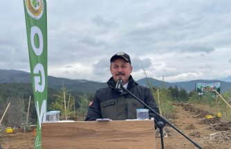 Niksar’da Orman Haftası'nda fidanlar toprakla buluşturuldu