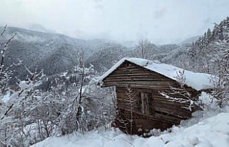 Ordu ve Artvin'de kar etkili oluyor