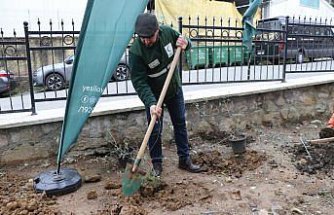 Rize'de Yeşilay Haftası kapsamında fidan dikim töreni düzenlendi