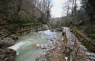 Samandere Şelalesi'nin debisi eriyen karla yükseldi