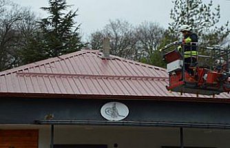 Samsun'da çatıda mahsur kalan kedinin imdadına itfaiye ekipleri yetişti