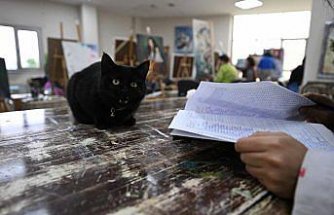 Sevimli kedi “Şükufe“ kursiyerlerin neşe kaynağı oldu