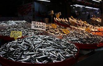 Trabzon'da balıkçı tezgahlarında hamsi ve istavrit ilgi görüyor