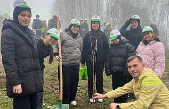 Türkeli'de fidanlar toprakla buluşturuldu