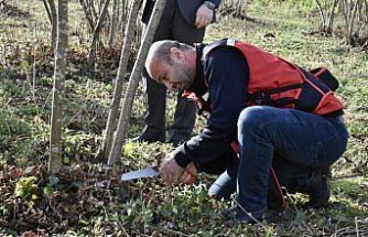 Yükümlüler fındıkta verimin artması için aldıkları eğitimle üretime katkı sunacak