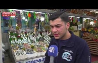 Samsun'daki tezgahlarda onlarca çeşit balık müşterilere sunuluyor