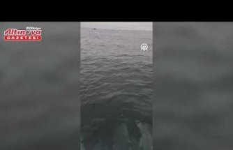 Yakakent'te su yüzeyine çıkan yunuslar kameraya yansıdı